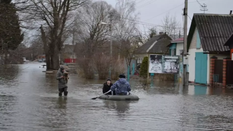 Тысячи человек пострадали от паводков в России в 2024 году
