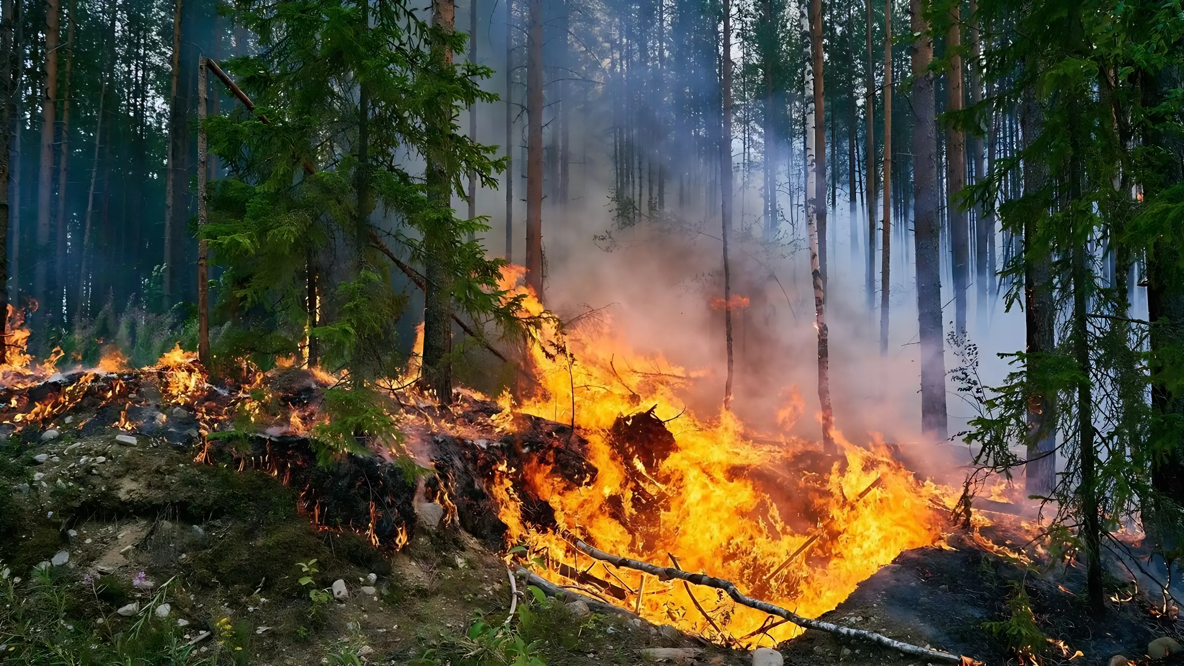 Пожароопасные сезон в Свердловской области уже начался