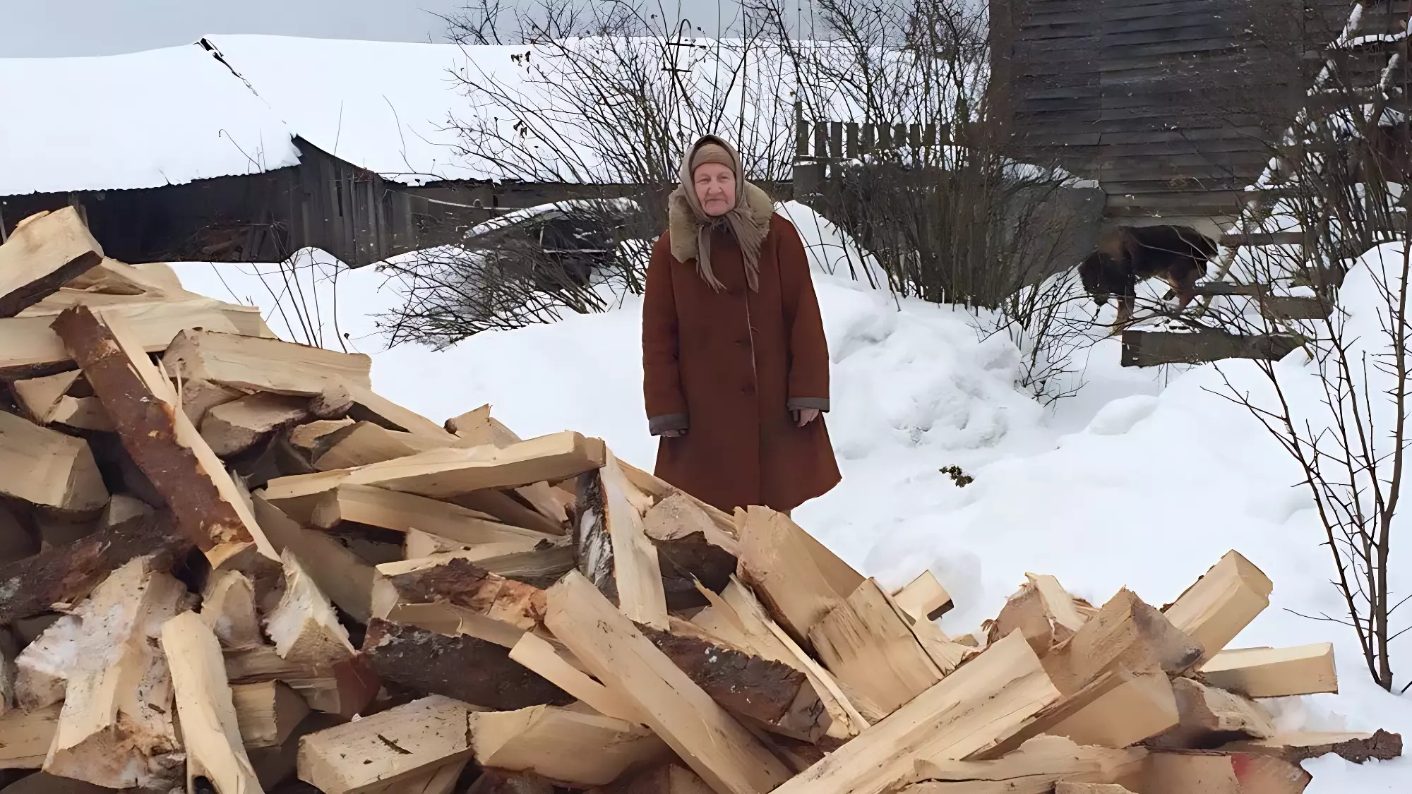 Национальное достояние номер 2: кто в России без дров не выживет