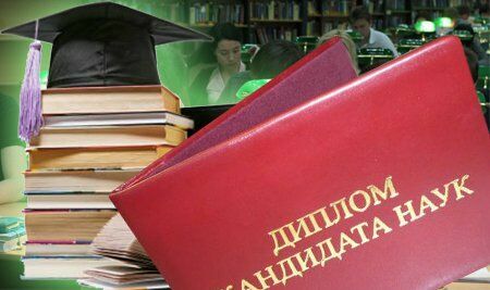 Андрей Ростовцев: «Страной управляют прохиндеи с фальшивыми диссертациями»