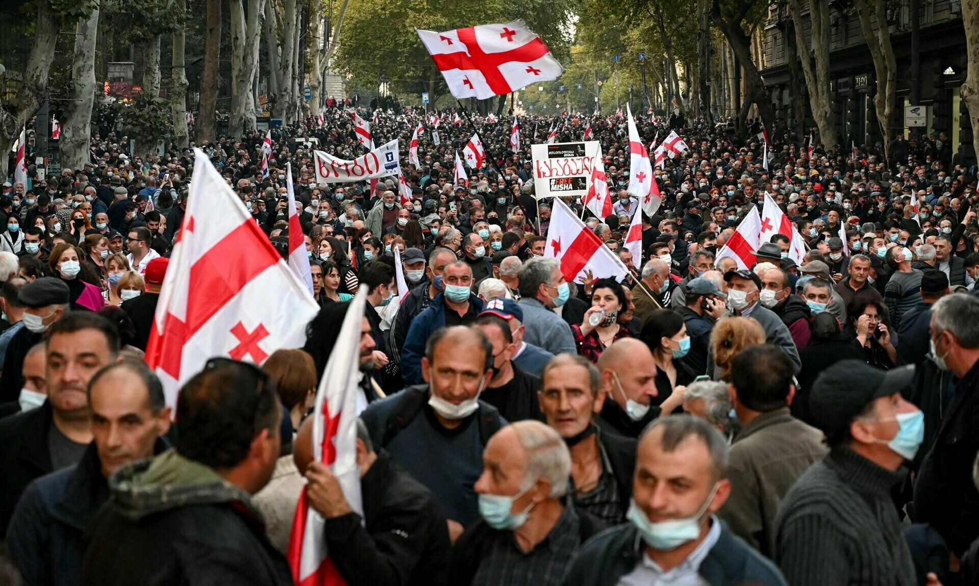 Многотысячный митинг в Тбилиси: устроят ли грузины новую "революцию роз"?
