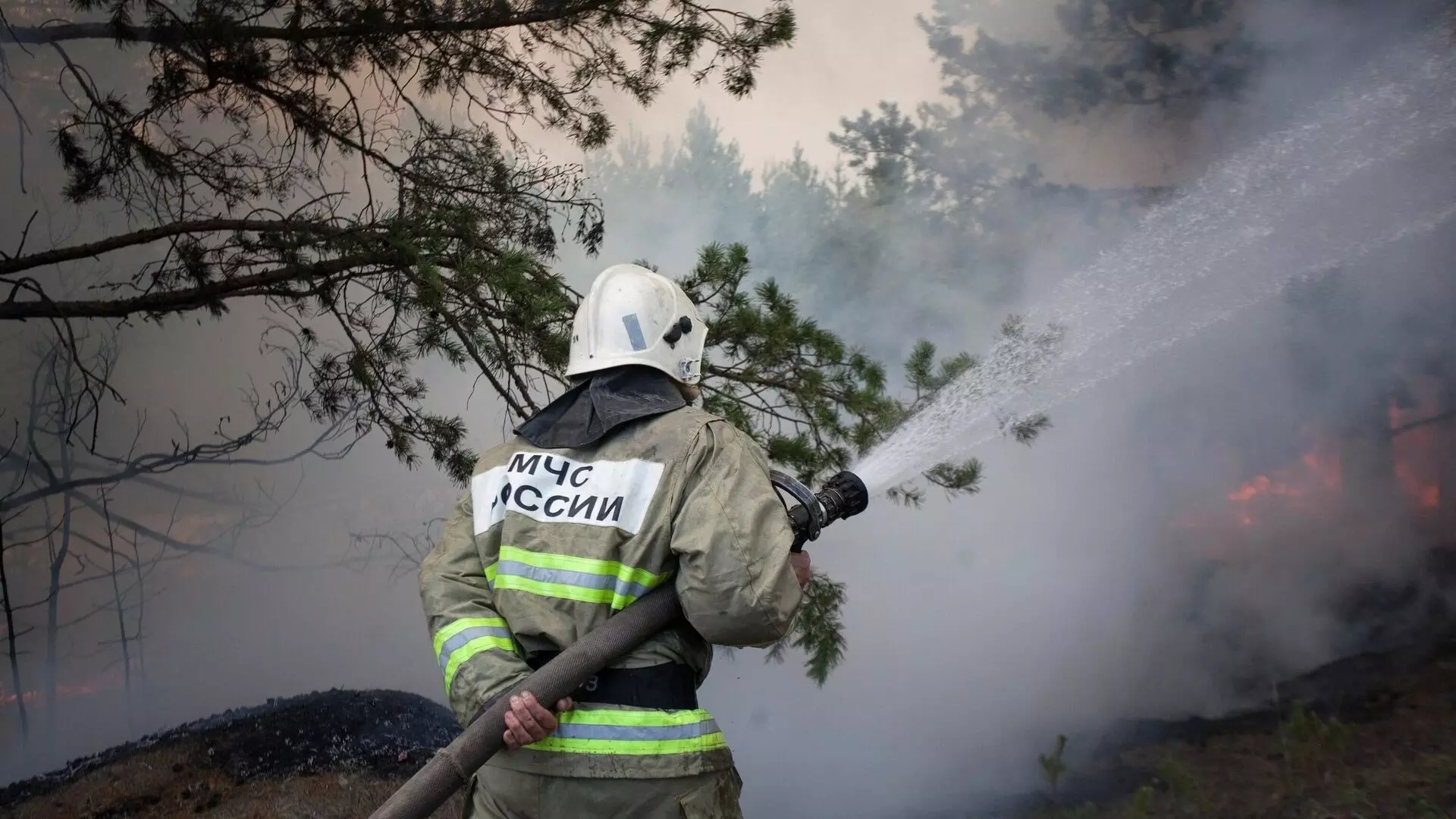 После потопов в России начнутся лесные пожары