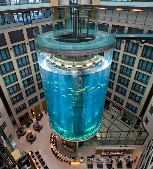 В берлинском отеле Dom Aquaree лопнул гигантский аквариум
