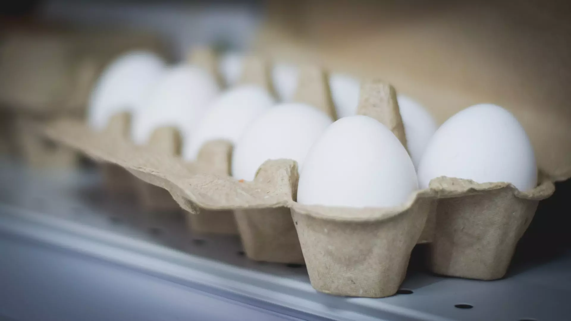 Открытие российского рынка для экспорта яиц из Азербайджана.