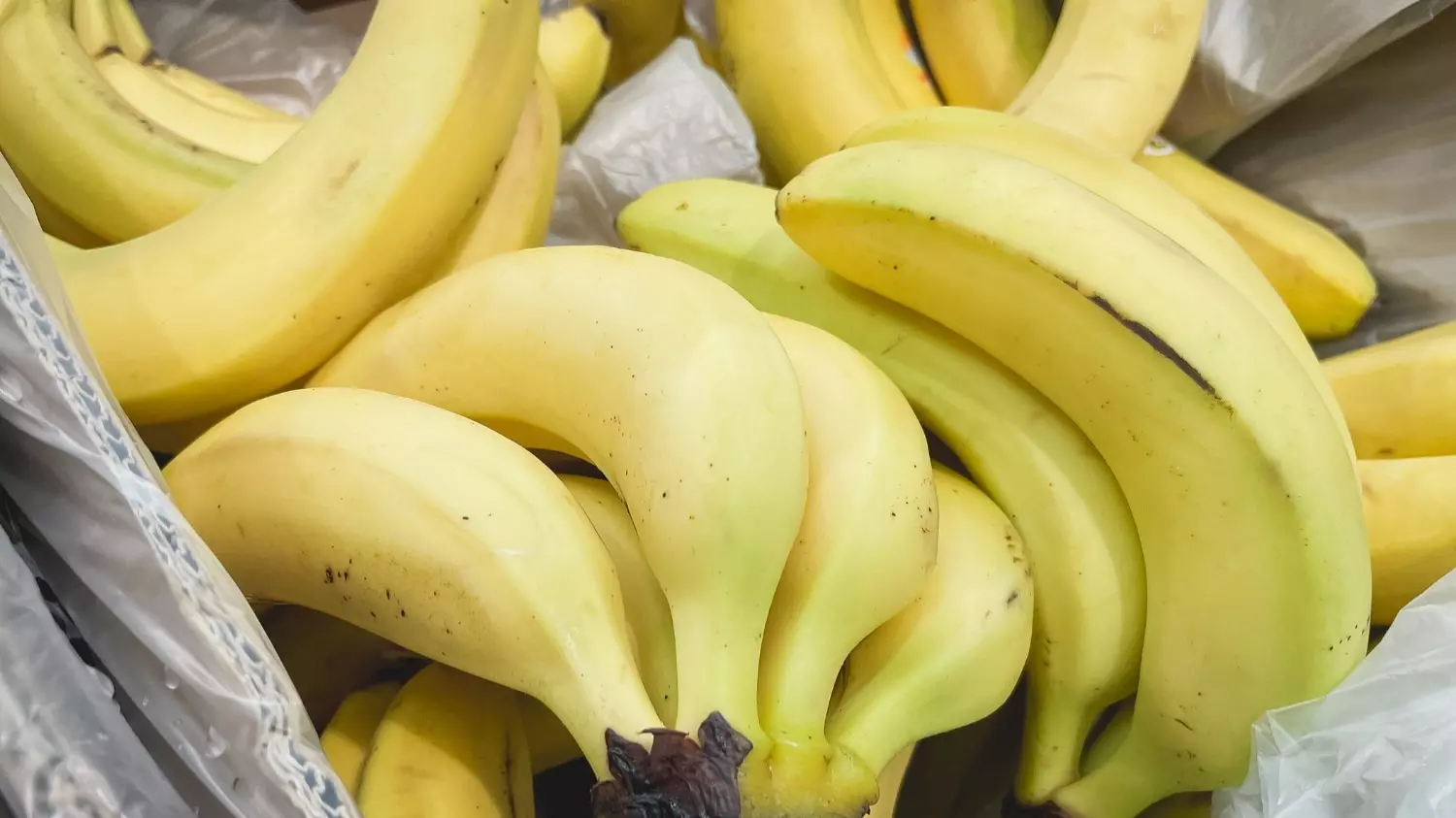 В эквадорских бананах нашли опасную муху и запретили поставки