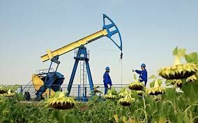 В Киеве признали, что пользуются только российской нефтью