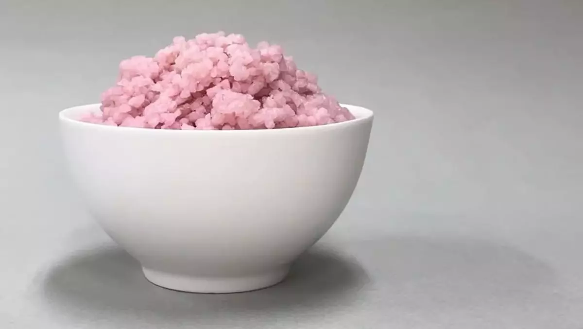 Корейские ученые создали продукт будущего — «рисомясо».