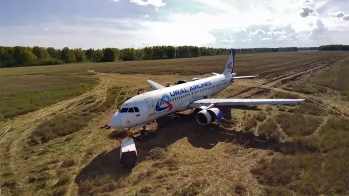 Севший в поле Airbus A320 невыгодно восстанавливать