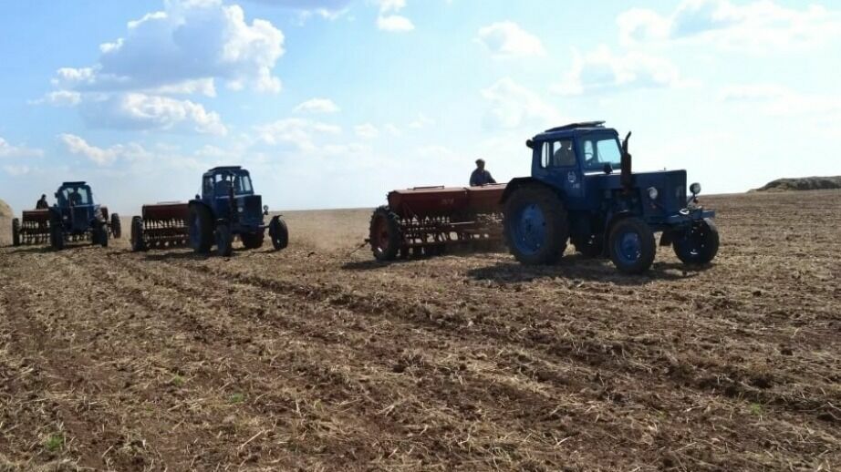В Хабаровском крае закупили 8 тысяч тонн семян для посевной-2023