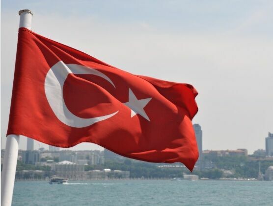 Турецкие спецслужбы начали похищать врагов Эрдогана на Украине