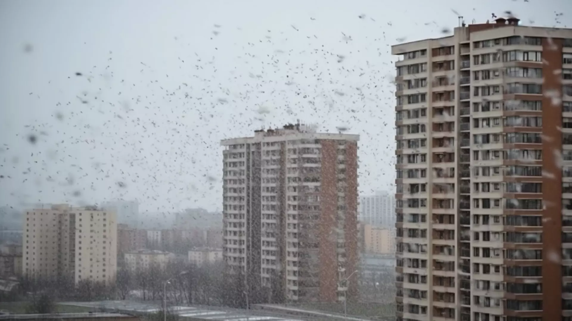 Апрельский снег накрыл Москву и Санкт-Петербург