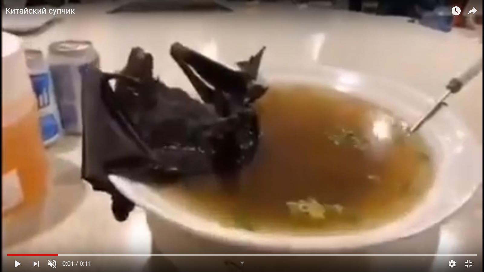 Видео дня: тарелка с супом, из которой вышла эпидемия коронавируса