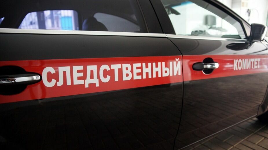 В Челябинске мать убила 10-летнюю дочь и покончила с собой