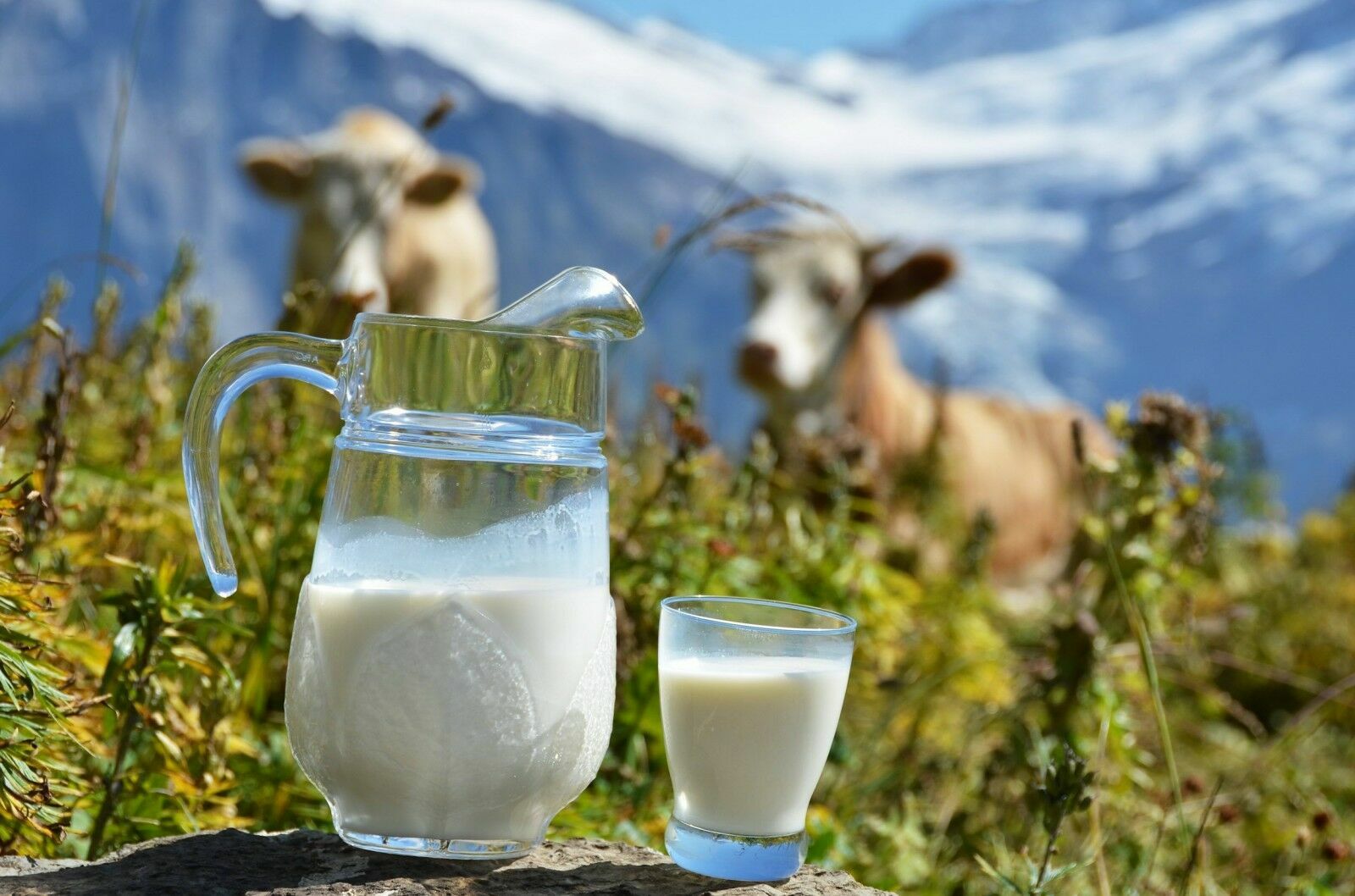 Роскачество нашло нарушения в 40% молочной продукции