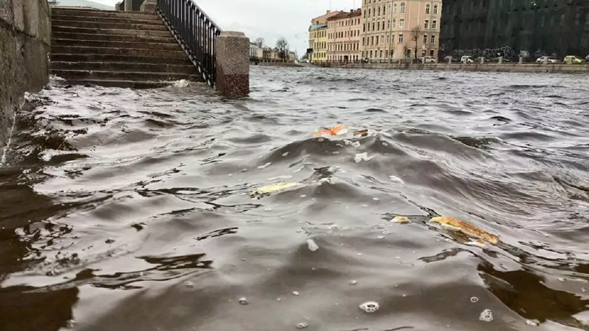 Нагонная волна в Неве в результате циклона поднялась на метр