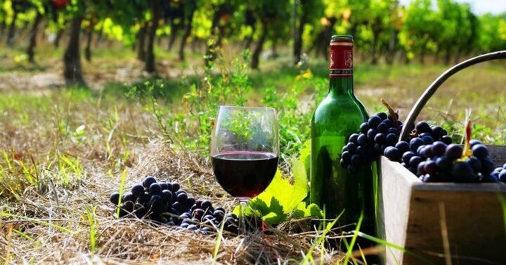 Грузинские вино и минеральная вода могут вновь попасть под запрет