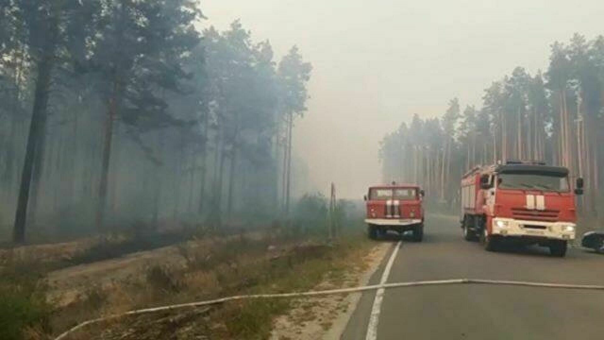 Из санаториев Марий Эл эвакуировали 634 человека в связи с лесными пожарами