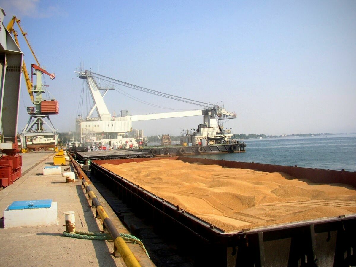 Завтра из Одессы в Сомали отправится первое судно с  украинским зерном