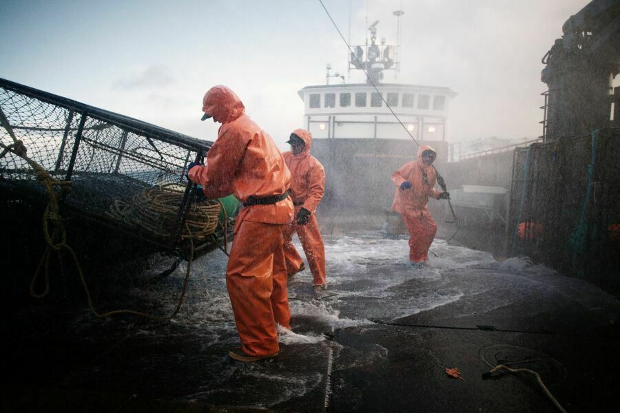 Лоббирование крабовых аукционов может привести к краху рыболовной отрасли