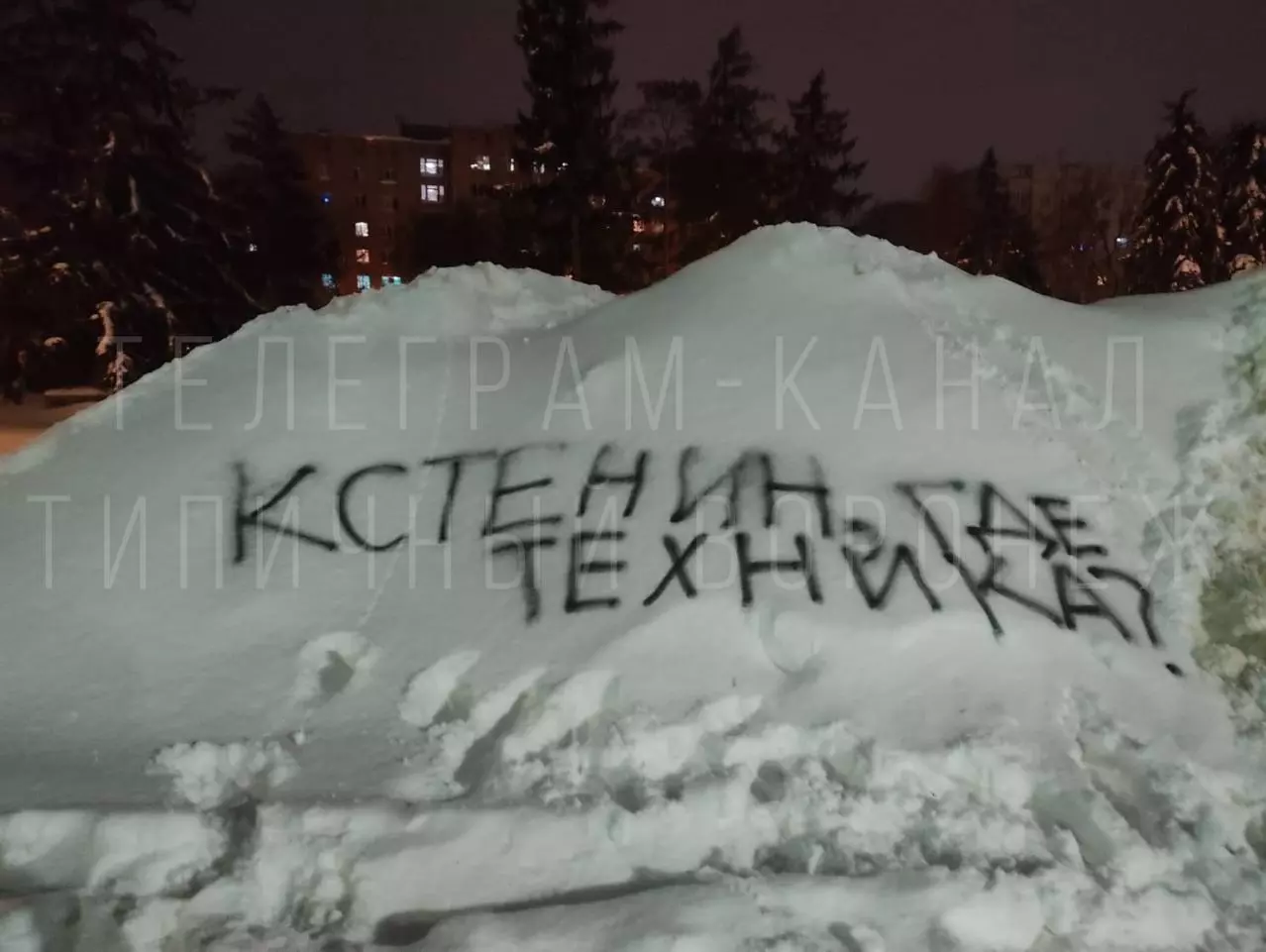 Воронежцы оставили мэру послания на сугробах