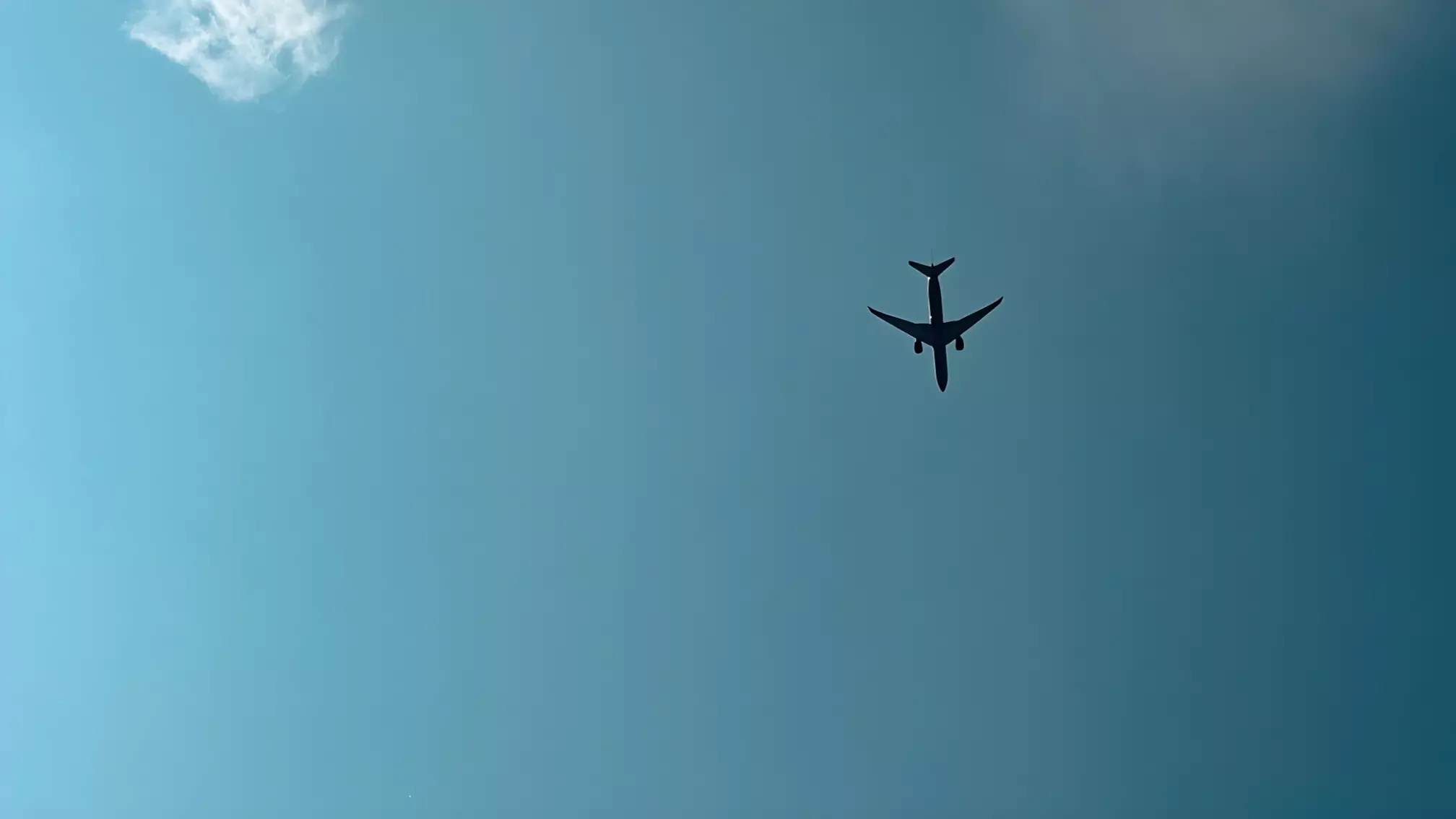 Пассажир «Аэрофлота» привез из Шри-Ланки в Россию лихорадку Денге