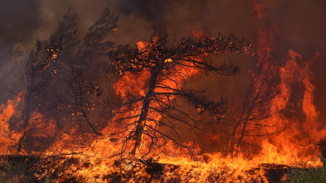 На трех островах в Греции ведется эвакуация из-за лесных пожаров