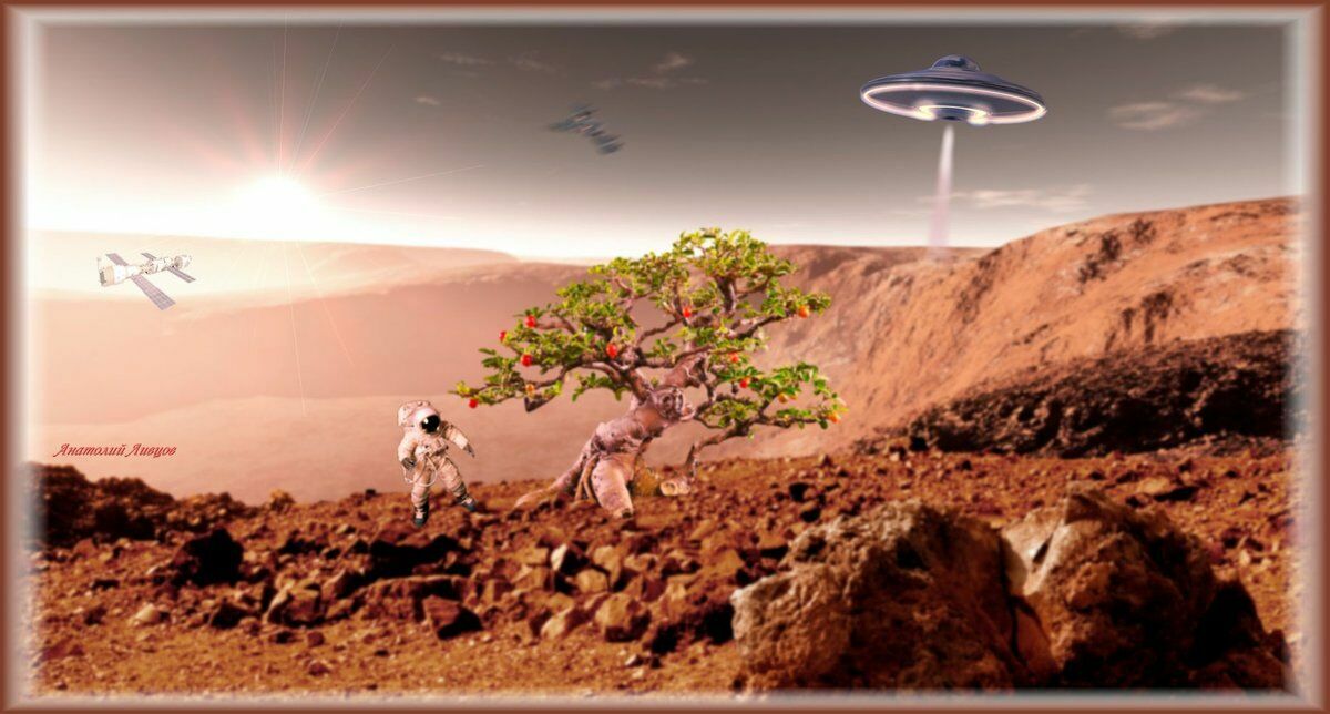 Вопрос дня: так ли нужны человечеству яблони на Марсе?