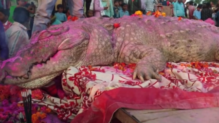Слезы по крокодилу: жители индийской деревни похоронили своего любимца