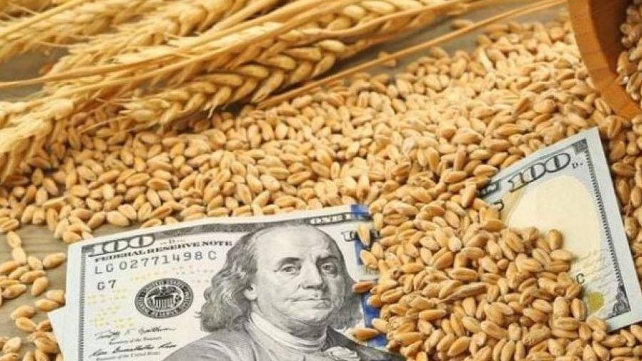 Вместо зерновой сделки — зерновые запреты: страны ЕС ведут торговую войну с Украиной