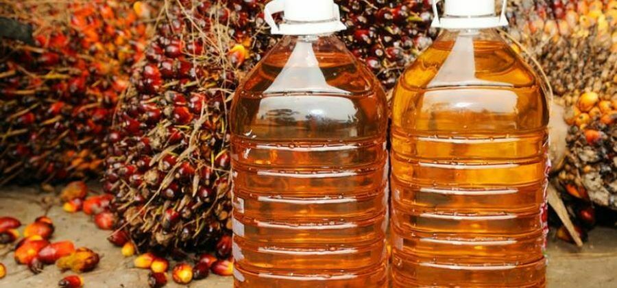 Шило на мыло: Россия может заменить вредное пальмовое масло не менее вредным  соевым