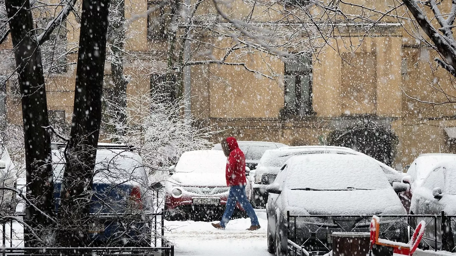 Апрельский снег в Петербурге скоро сменят проливные дожди