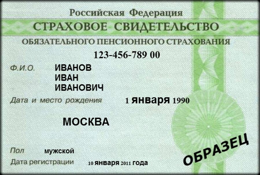 Проверка боем: как получить СНИЛС, чтобы получить 10 тысяч рублей на ребенка