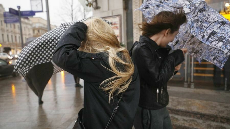 МЧС предупредило об усилении ветра в Москве