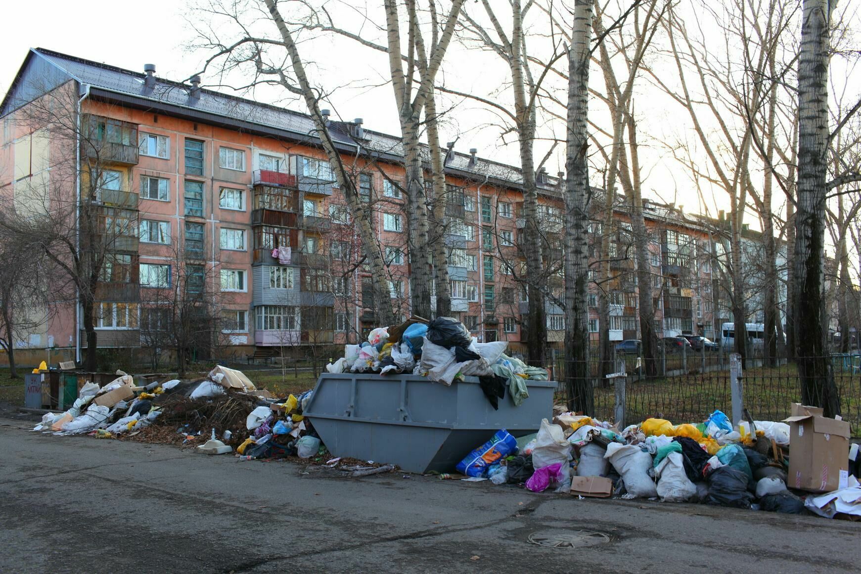 Из-за конфликта двух мусорных компаний власти Бийска объявили режим ЧС