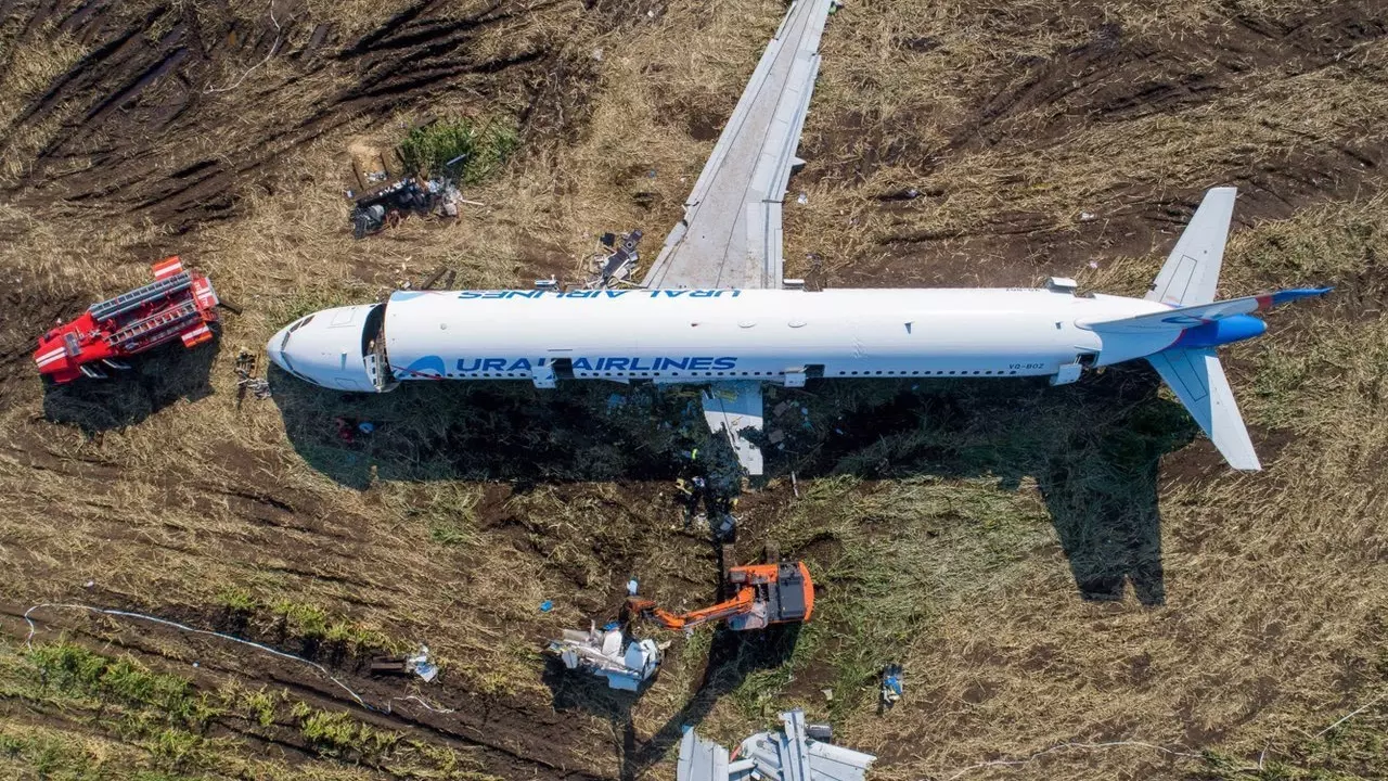 Разбор по частям «Эйрбаса» «Уральских авиалиний» в поле в Новосибирской области