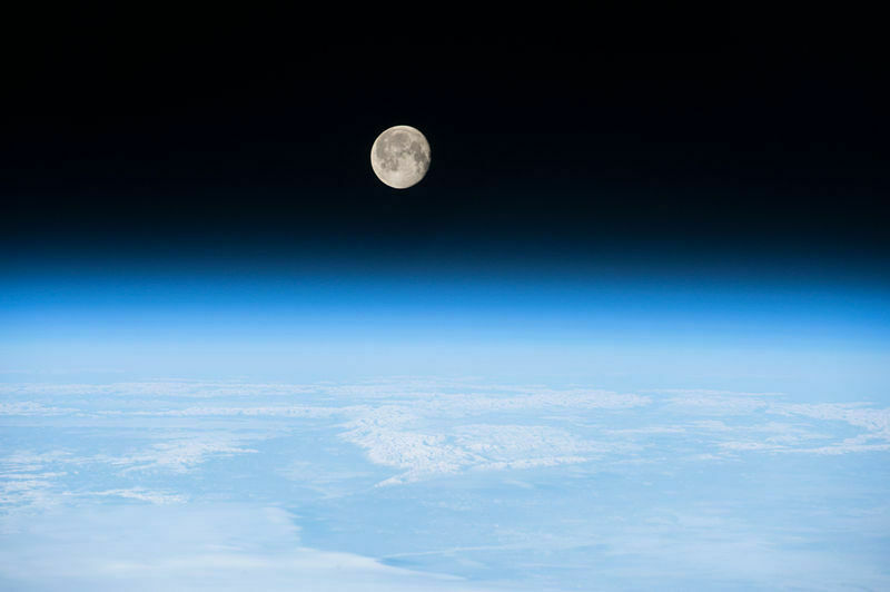 Компания Илона Маска заключила контракт с первым "лунным туристом"