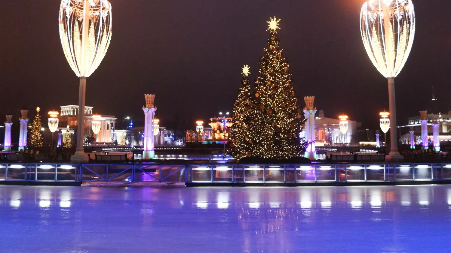 В Москве температура воздуха в декабре может охлаждаться до –10 градусов