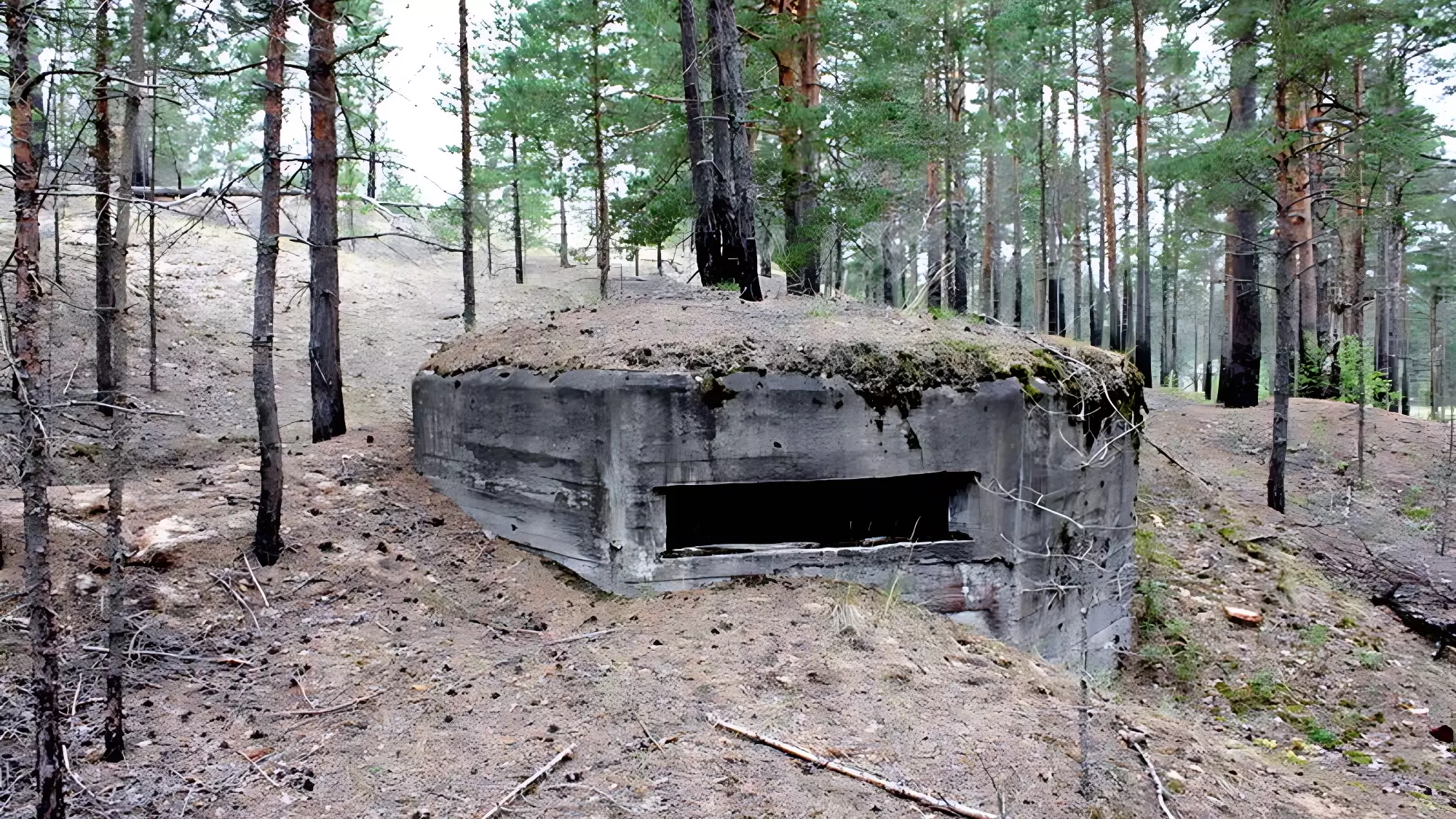 Вдоль границы стран Балтии с Россией появятся сотни, если не тысячи бункеров
