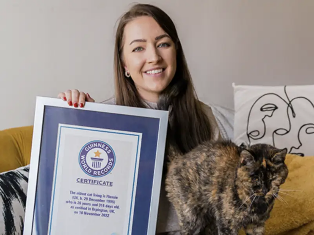 26-летнюю кошку из Лондона занесли в Книгу рекордов Гиннесса как самую старую в мире
