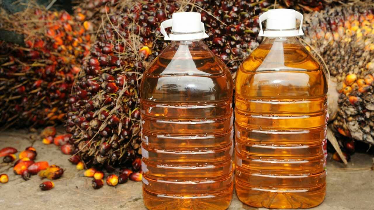 Вопрос дня: вызовет ли запрет Индонезии на экспорт пальмового масла кризис в России?