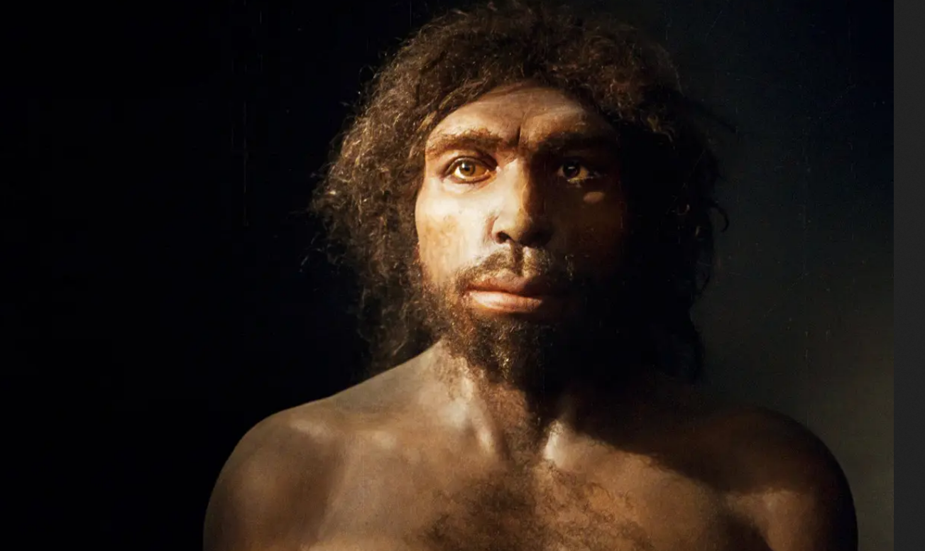 Человеческие останки, найденные в Испании, могут быть самыми древними в Европе