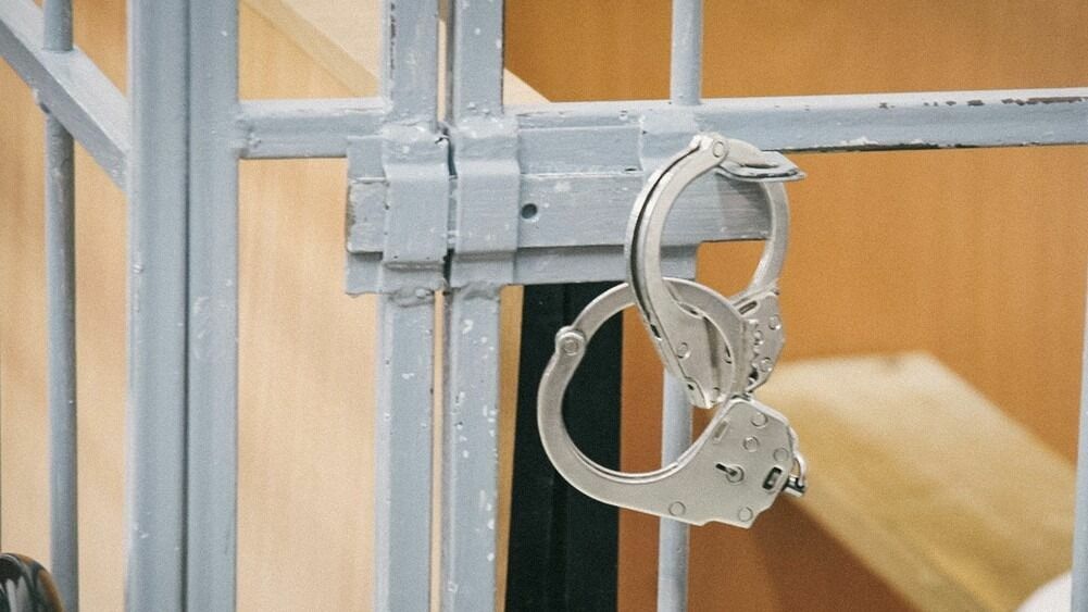 Shot: сына Жириновского арестовали на 15 суток за избиение полицейского (ВИДЕО)