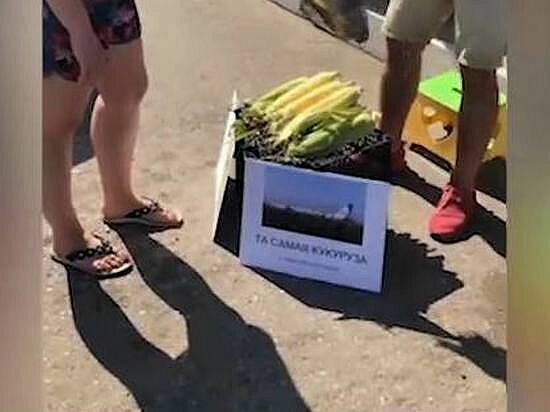Житель Саратова продает "лечебную" кукурузу якобы с места посадки А321