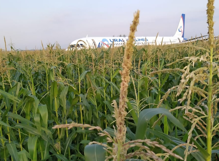 Видео дня: спасшиеся пассажиры Airbus A321 идут по кукурузному полю