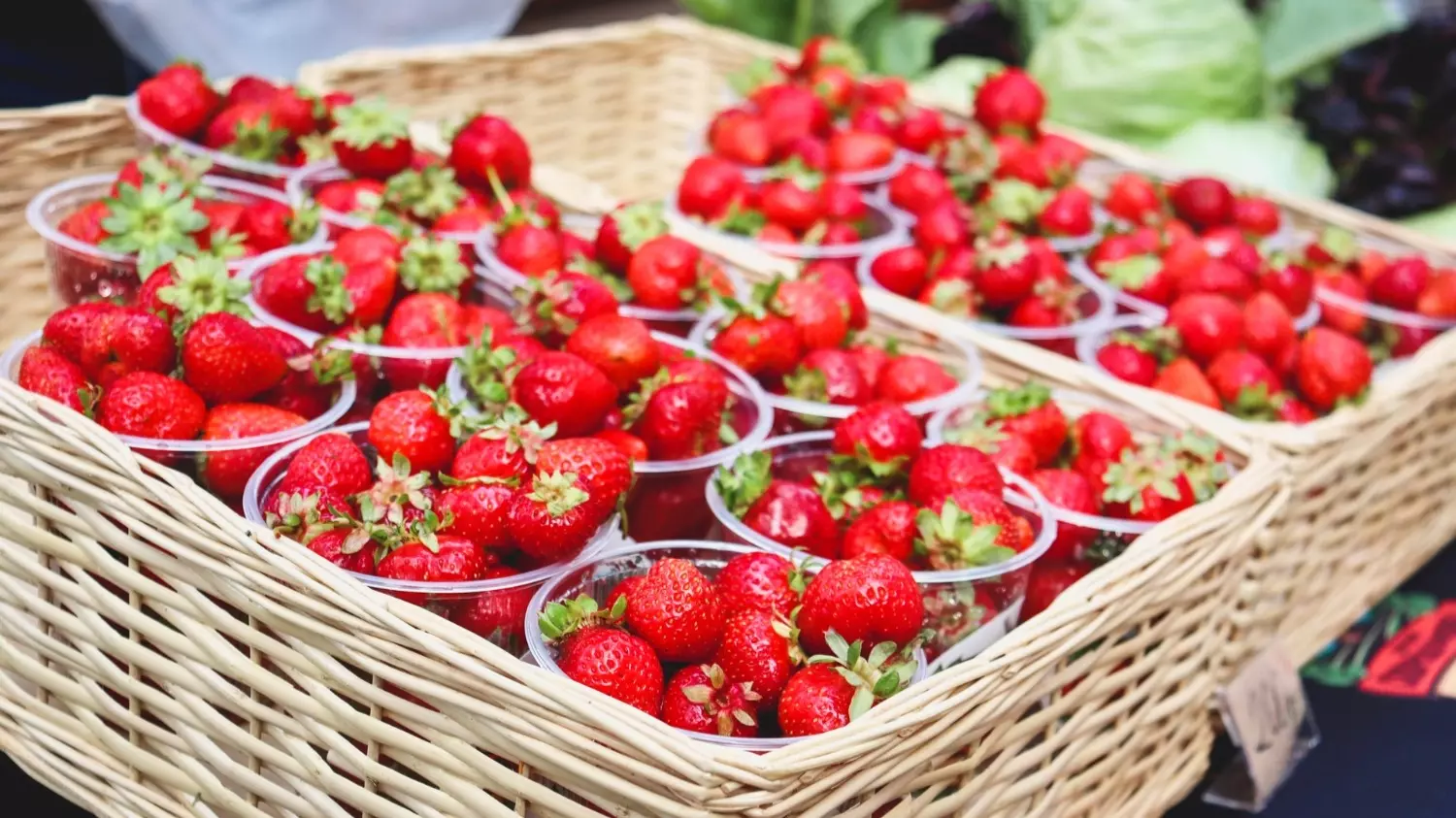 Употребление горсти ягод снижает риск развития хронических заболеваний и преждевременной смерти