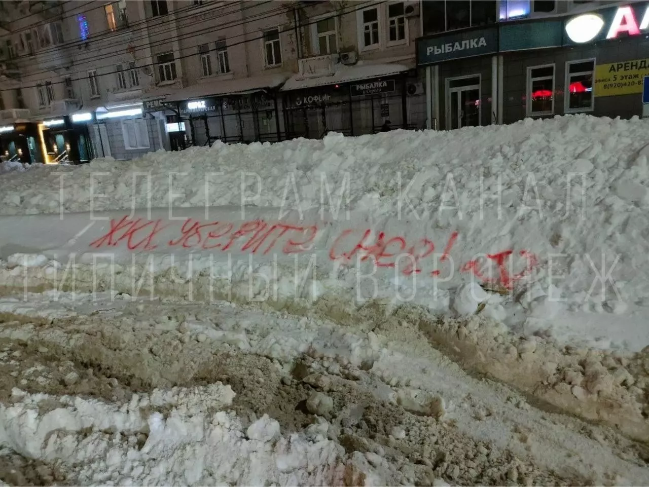 Воронежцы оставили мэру послания на сугробах