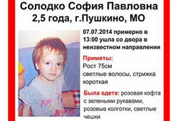 Полиция нашла тело двухлетней девочки, убитой в Пушкинском районе