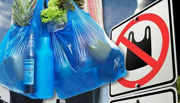 Депутаты предложили запретить пластиковые пакеты с 2025 года