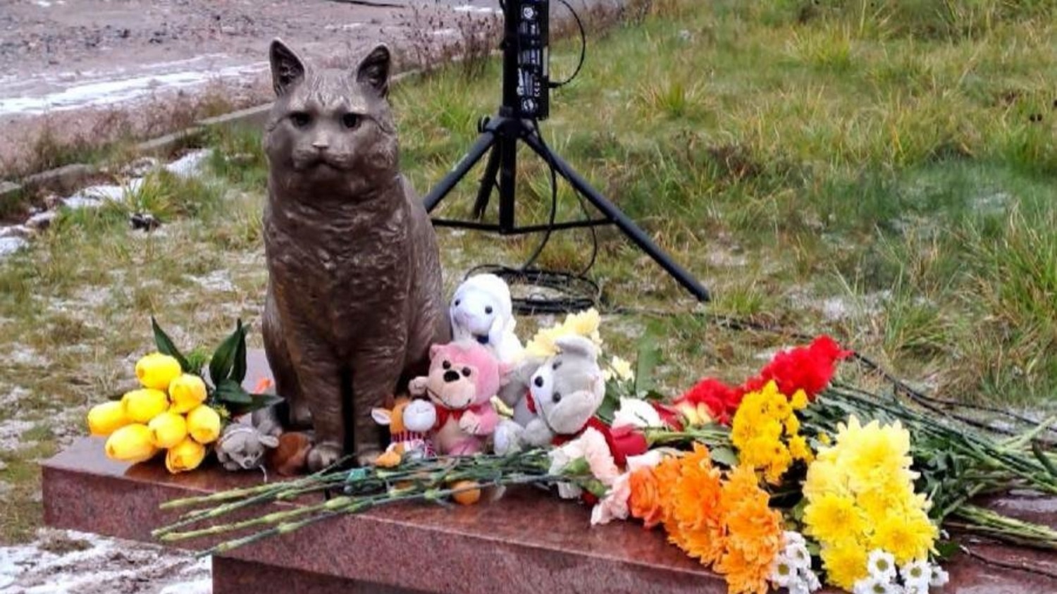 Памятник коту Кузе в Санкт-Петербурге