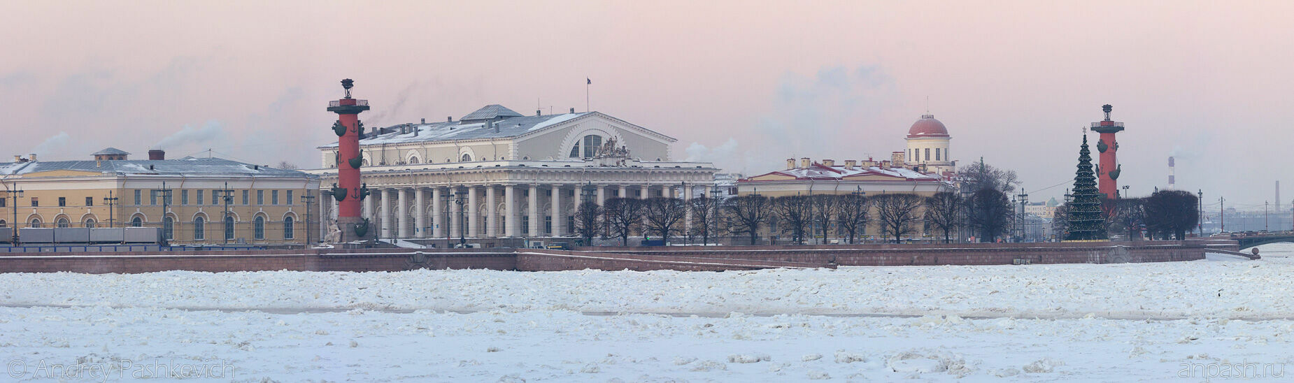 МЧС не обнаружил источников неприятного запаха в Петербурге